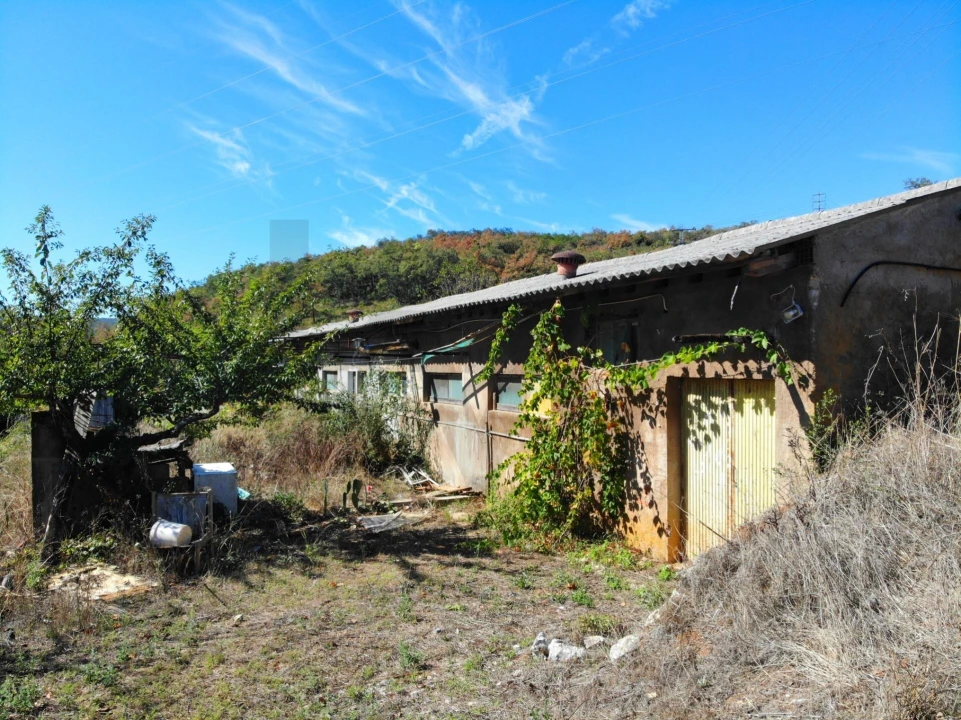 Terreno para Venda em Chão de Couce Foto 7