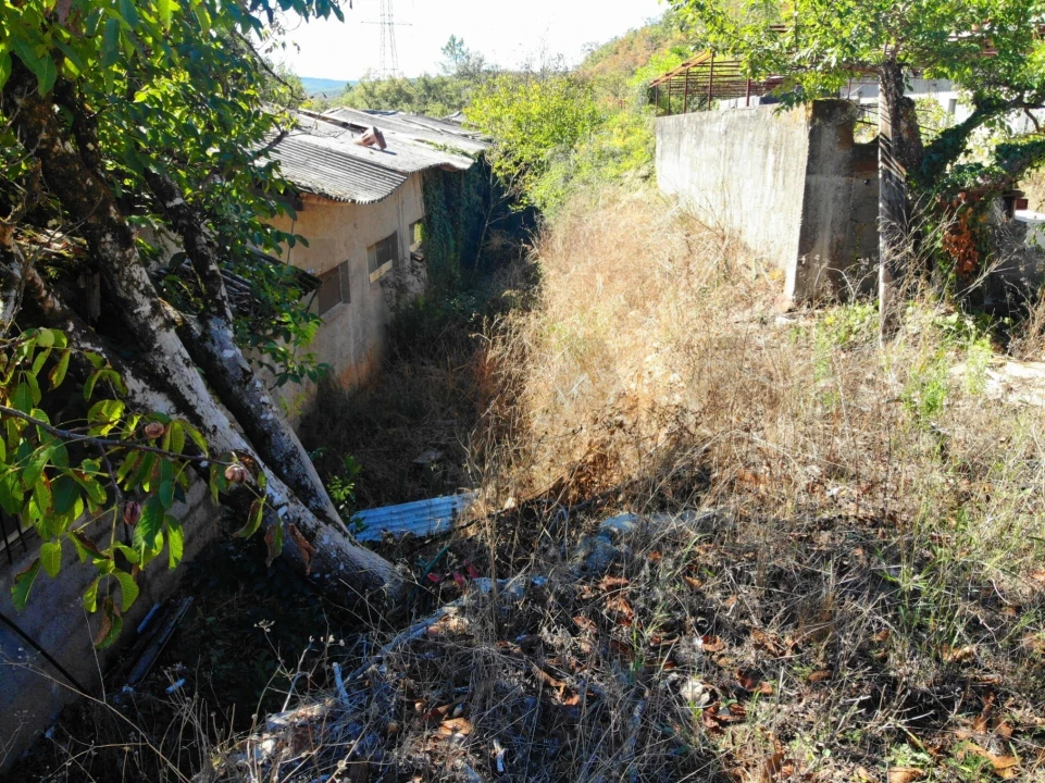 Terreno para Venda em Chão de Couce Foto 8