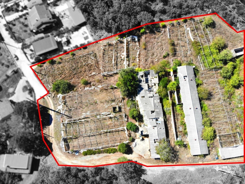 Terreno para Venda em Chão de Couce Foto 23