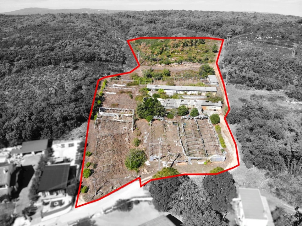 Terreno para Venda em Chão de Couce Foto 22