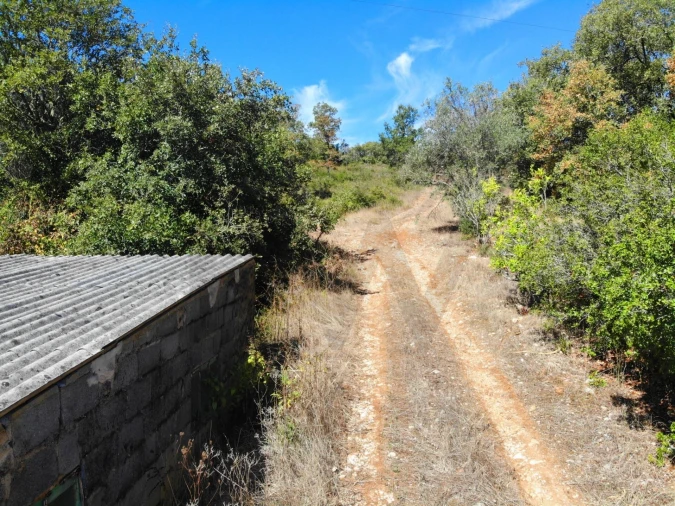 Terreno para Venda em Chão de Couce Foto 14