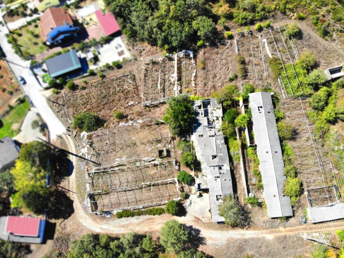 Terreno para Venda em Chão de Couce Foto 20