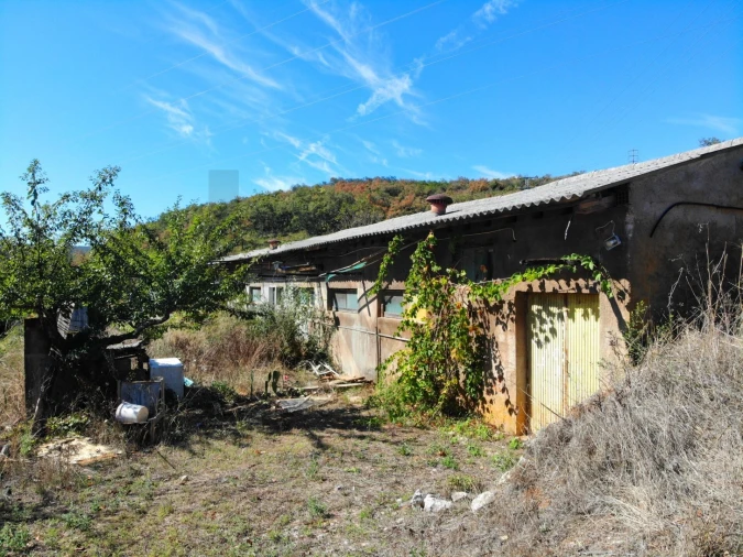 Terreno para Venda em Chão de Couce Foto 7