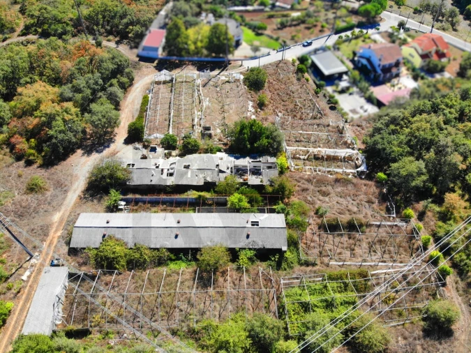 Terreno para Venda em Chão de Couce Foto 26
