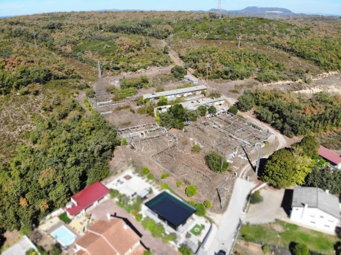 Terreno para Venda em Chão de Couce Foto 2