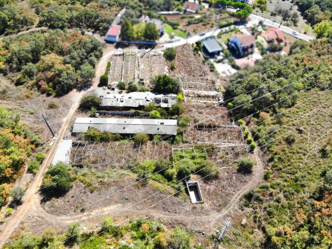 Terreno para Venda em Chão de Couce Foto 15