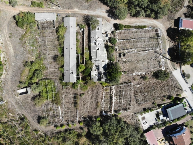 Terreno para Venda em Chão de Couce Foto 21