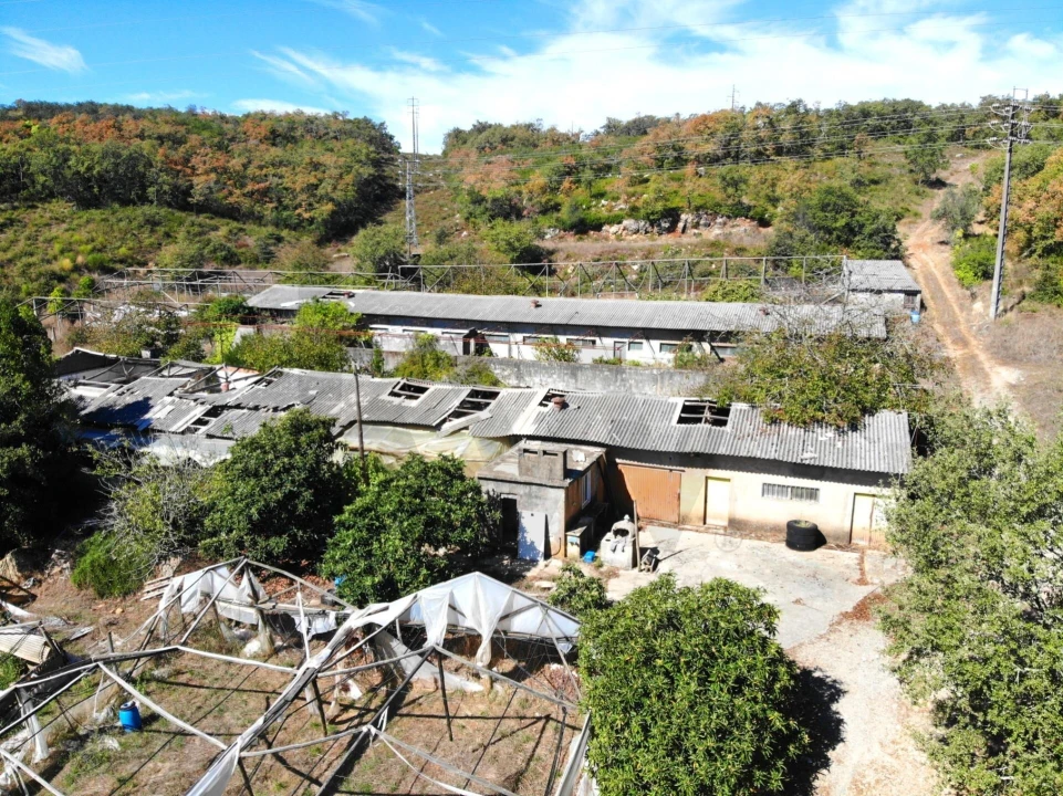 Terreno para Venda em Chão de Couce Foto 4