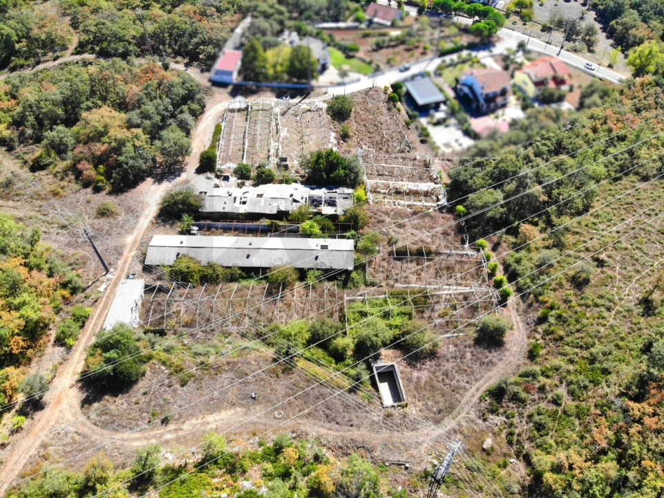 Terreno para Venda em Chão de Couce Foto 15
