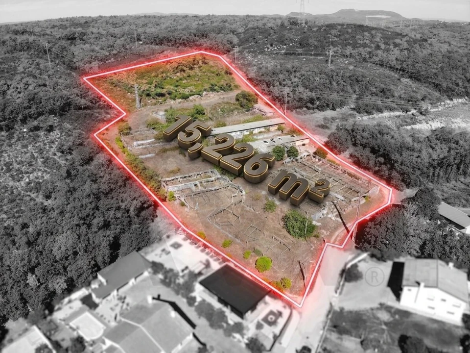 Terreno para Venda em Chão de Couce Foto 1