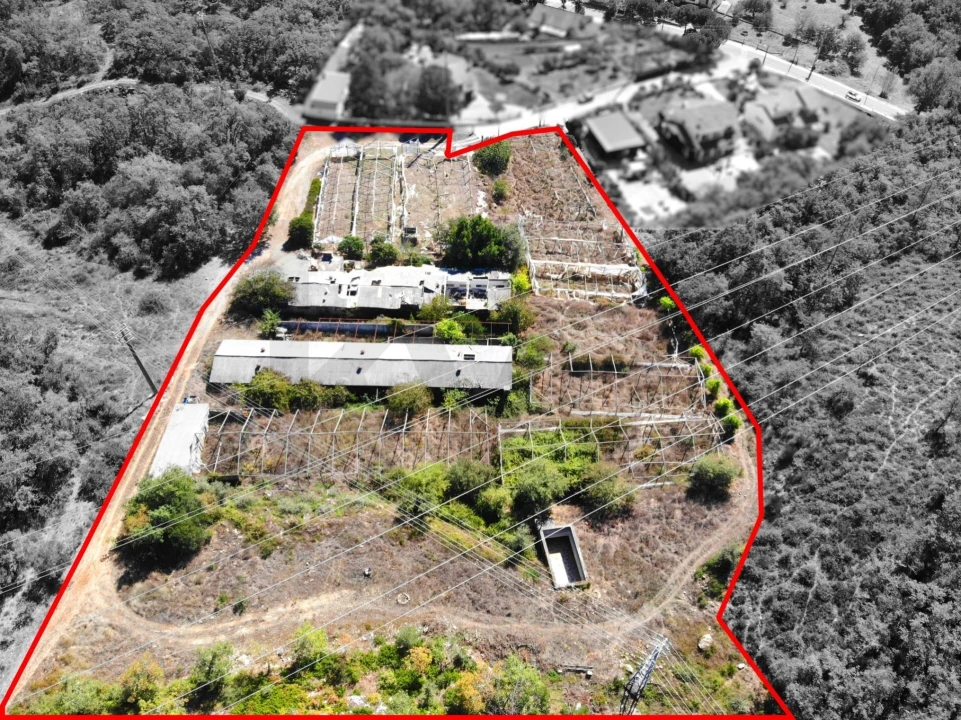 Terreno para Venda em Chão de Couce Foto 16