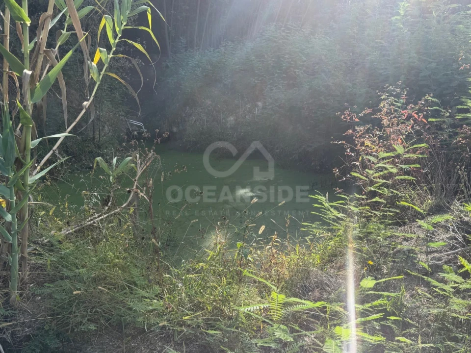 Quinta T2 para Venda em Boidobra Foto 16