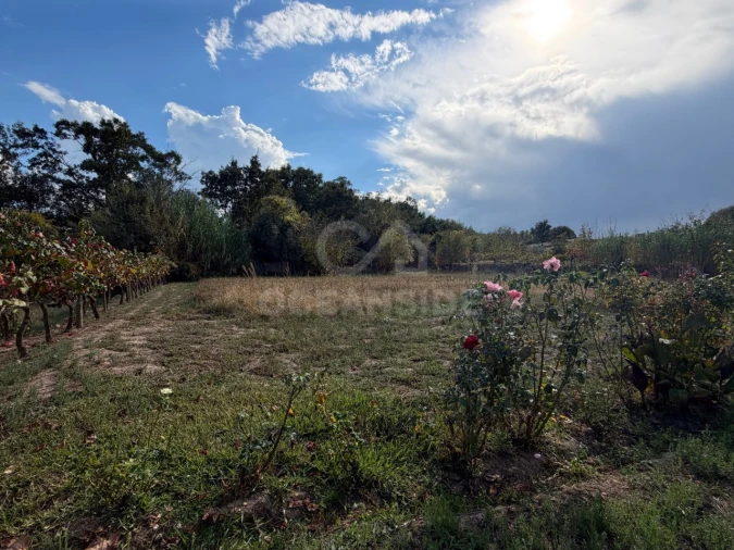 Quinta T2 para Venda em Boidobra Foto 10