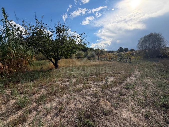 Quinta T2 para Venda em Boidobra Foto 12