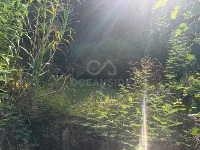 Quinta T2 para Venda em Boidobra Foto 14
