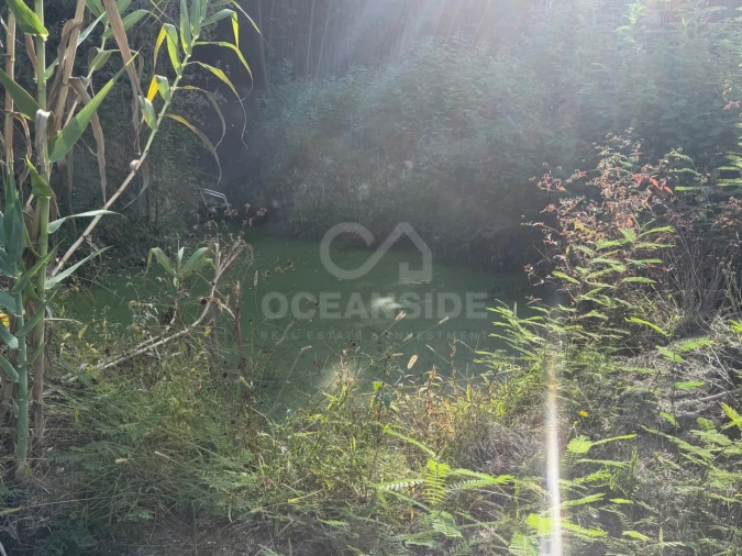 Quinta T2 para Venda em Boidobra Foto 16