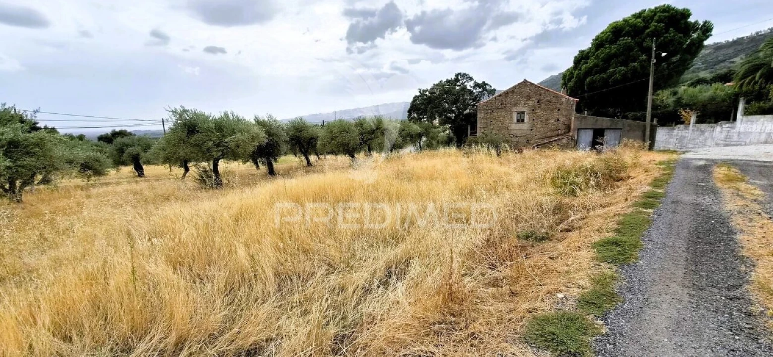 Moradia T2 para Venda em Vale de Prazeres e Mata da Rainha Foto 6