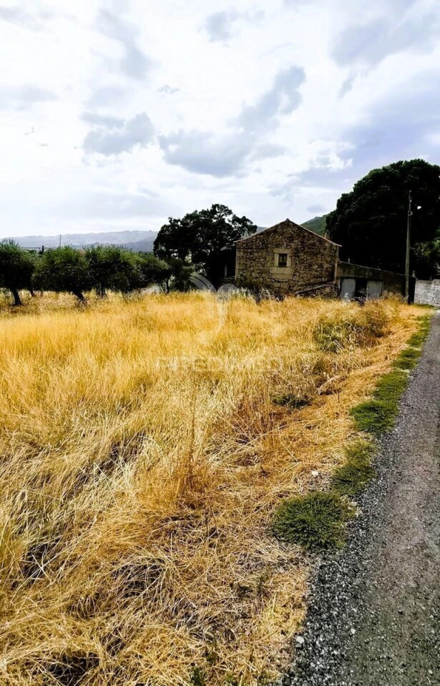 Moradia T2 para Venda em Vale de Prazeres e Mata da Rainha Foto 13