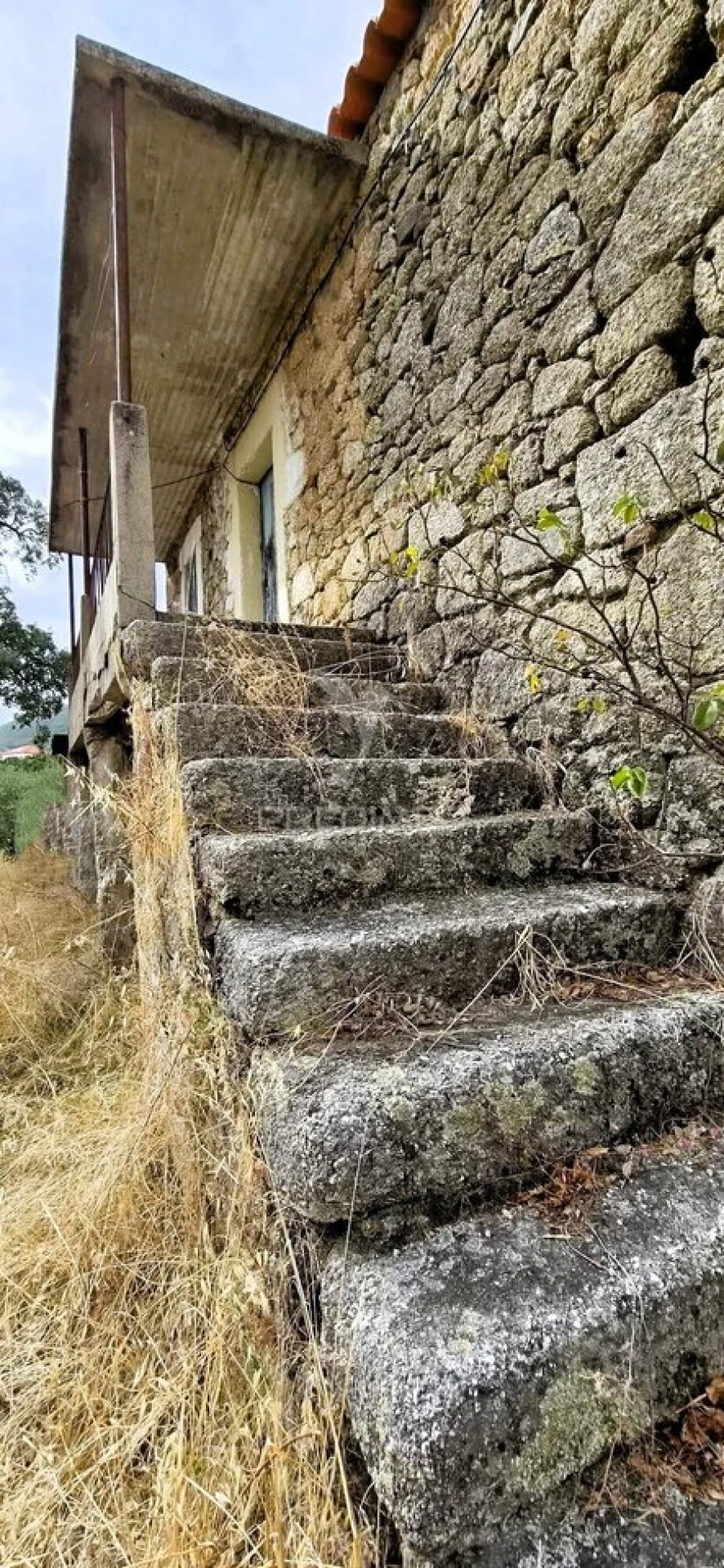 Moradia T2 para Venda em Vale de Prazeres e Mata da Rainha Foto 26