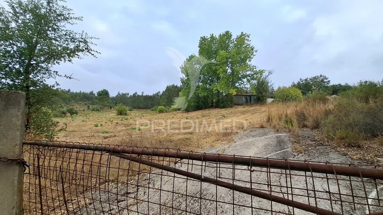 Terreno para Venda em Arneiro das Milhariças Foto 14