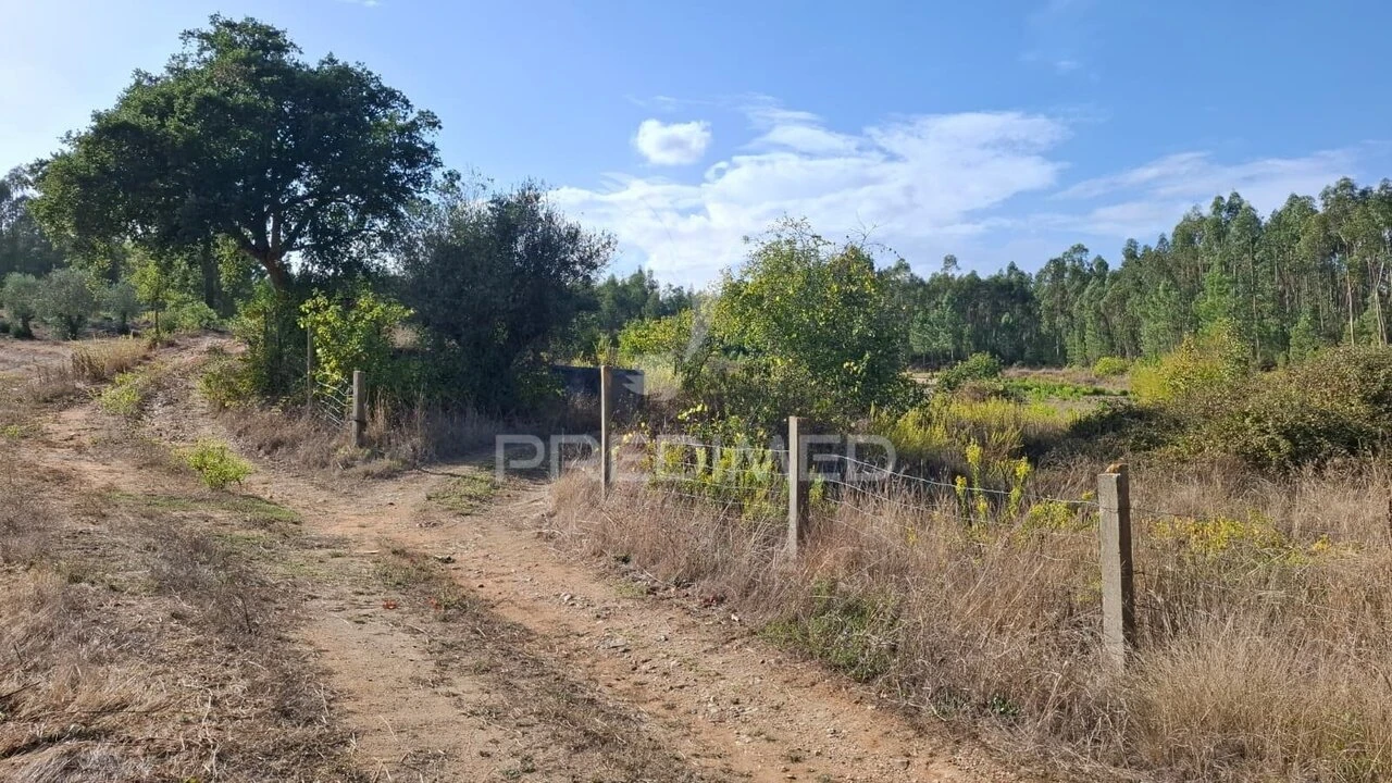 Terreno para Venda em Arneiro das Milhariças Foto 13