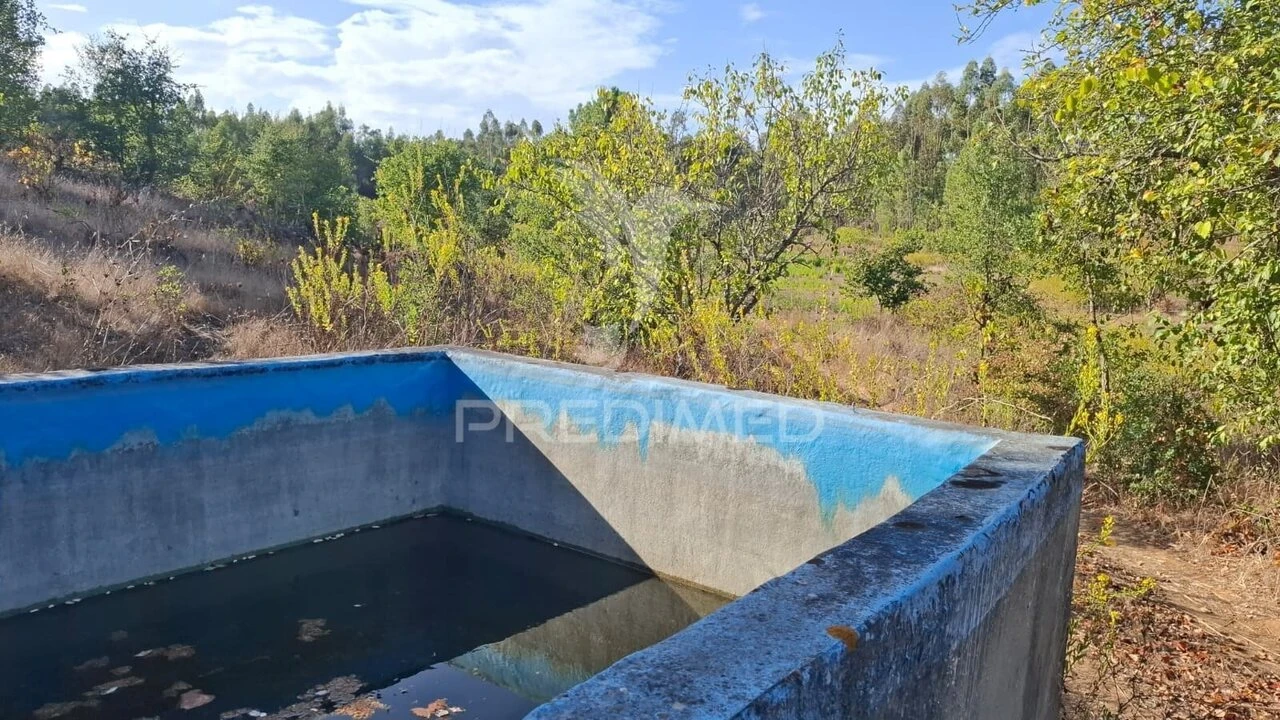 Terreno para Venda em Arneiro das Milhariças Foto 7