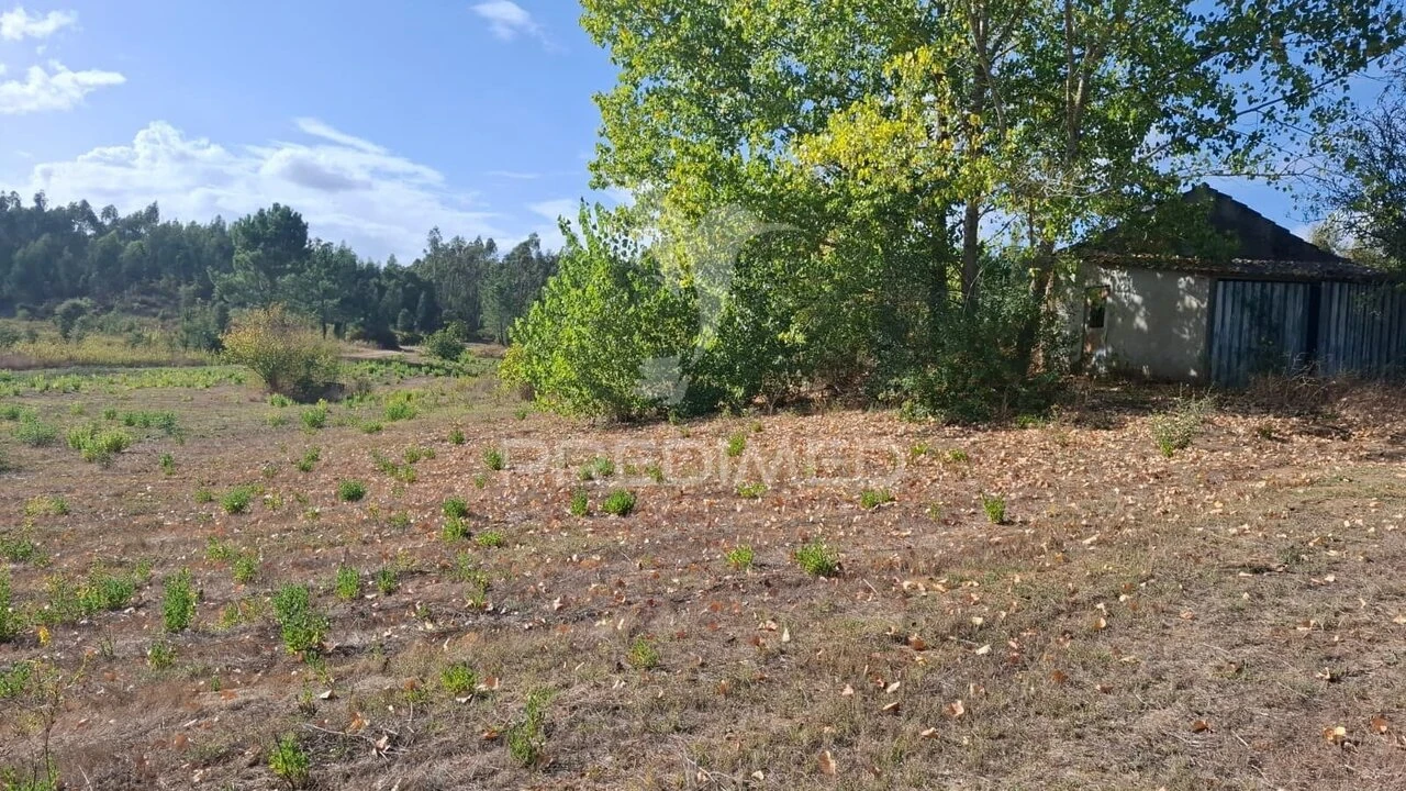 Terreno para Venda em Arneiro das Milhariças Foto 11