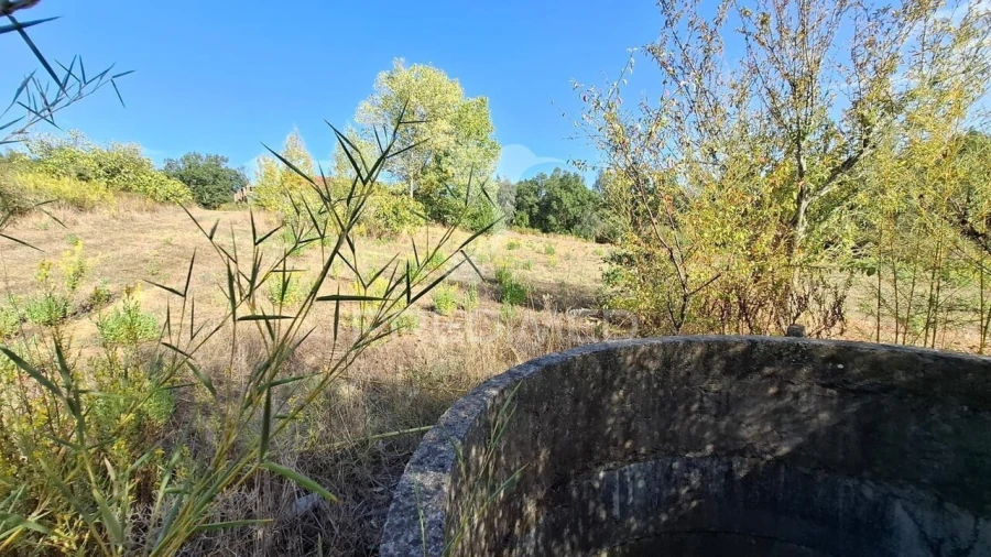 Terreno para Venda em Arneiro das Milhariças Foto 5
