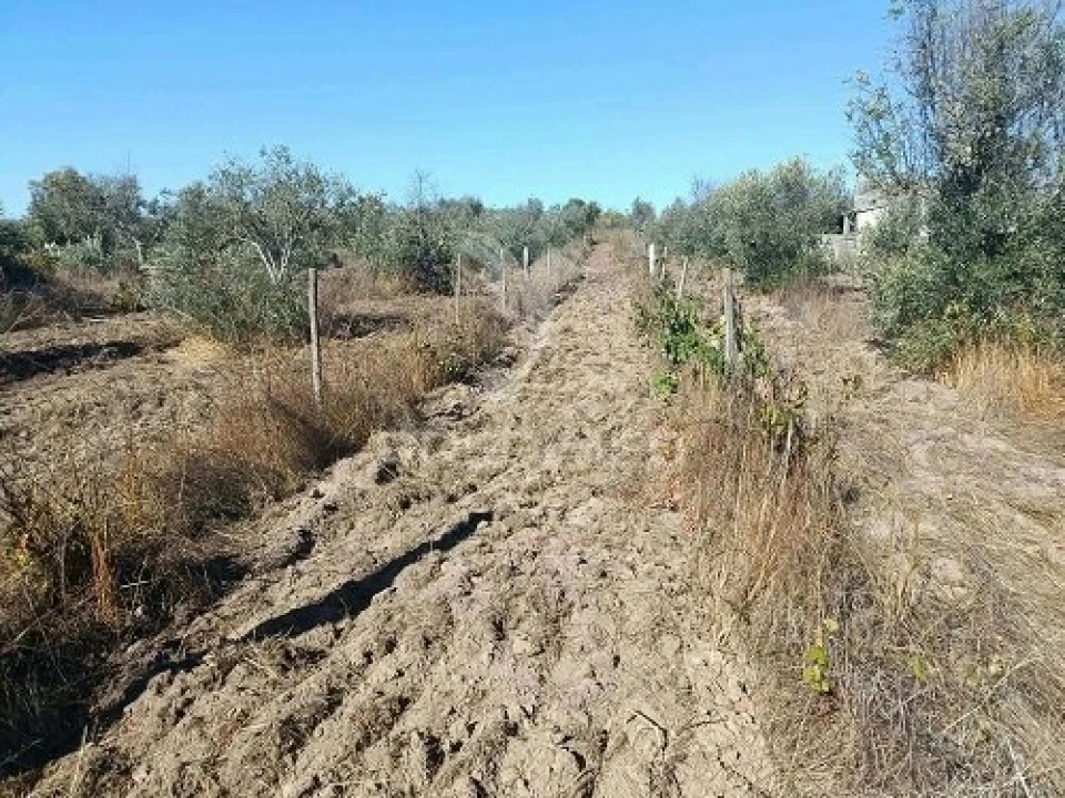 Terreno para Venda em Espírito Santo, Nossa Senhora da Graça e São Simão Foto 20