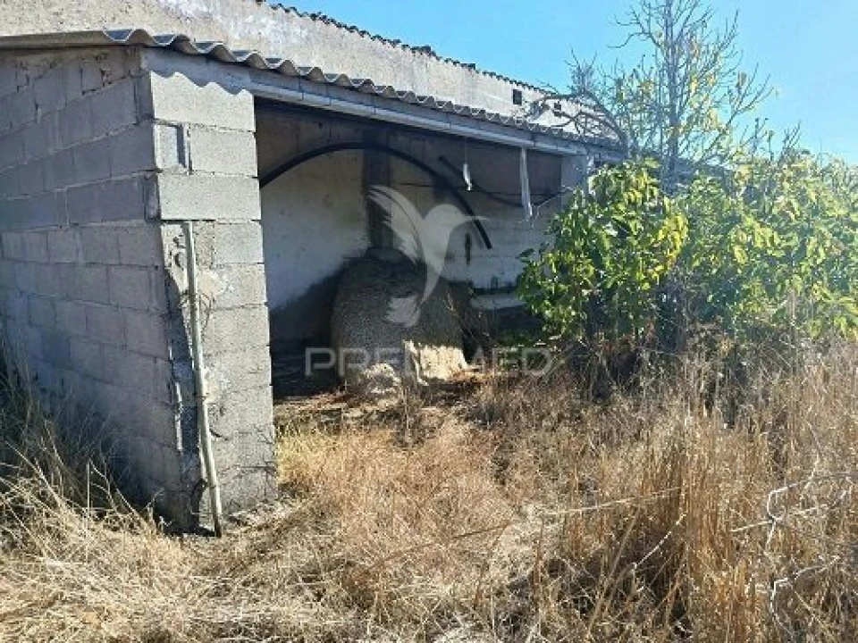Terreno para Venda em Espírito Santo, Nossa Senhora da Graça e São Simão Foto 26