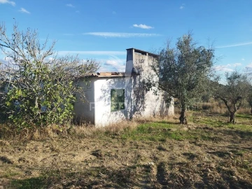 Terreno para Venda em Espírito Santo, Nossa Senhora da Graça e São Simão