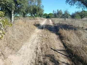 Terreno para Venda em Espírito Santo, Nossa Senhora da Graça e São Simão