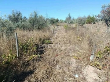 Terreno para Venda em Espírito Santo, Nossa Senhora da Graça e São Simão