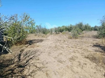 Terreno para Venda em Espírito Santo, Nossa Senhora da Graça e São Simão
