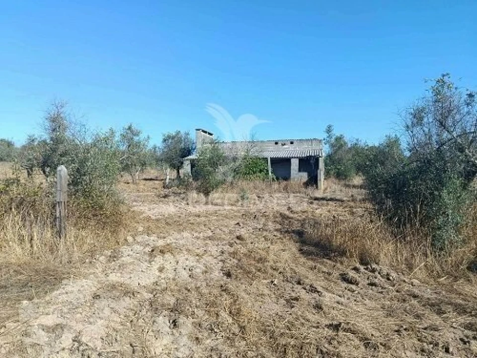 Terreno para Venda em Espírito Santo, Nossa Senhora da Graça e São Simão Foto 25