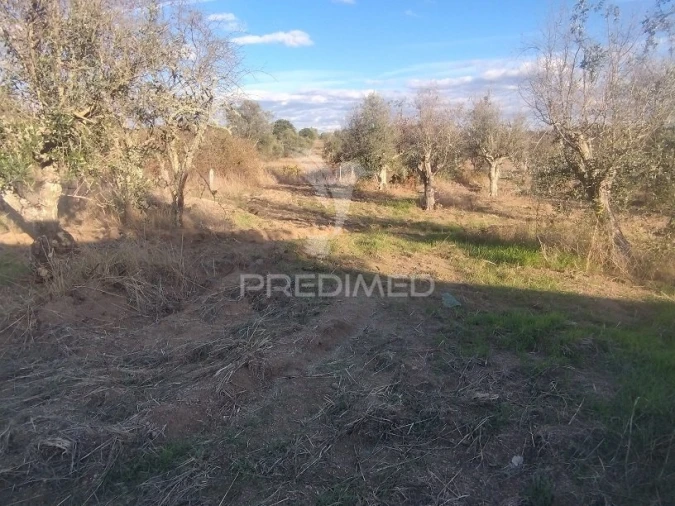 Terreno para Venda em Espírito Santo, Nossa Senhora da Graça e São Simão Foto 3
