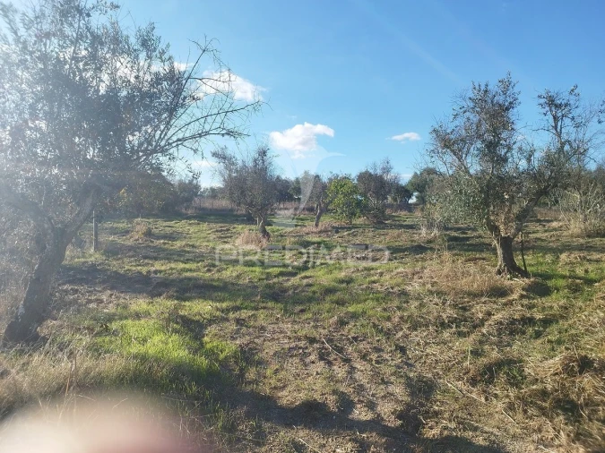 Terreno para Venda em Espírito Santo, Nossa Senhora da Graça e São Simão Foto 6