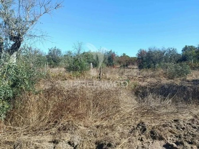 Terreno para Venda em Espírito Santo, Nossa Senhora da Graça e São Simão Foto 21