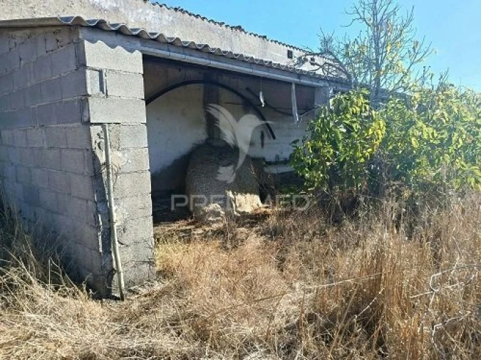 Terreno para Venda em Espírito Santo, Nossa Senhora da Graça e São Simão Foto 26