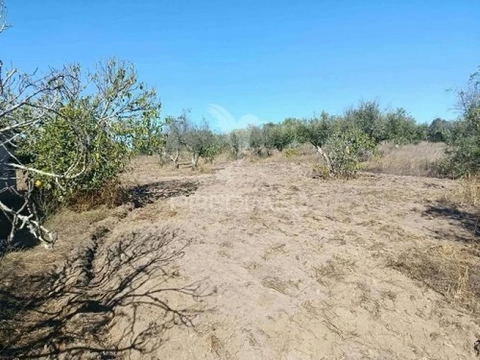 Terreno para Venda em Espírito Santo, Nossa Senhora da Graça e São Simão Foto 24