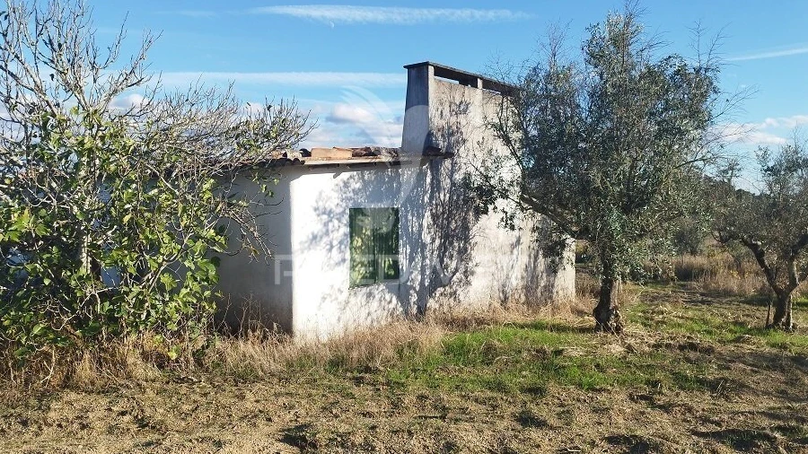 Terreno para Venda em Espírito Santo, Nossa Senhora da Graça e São Simão