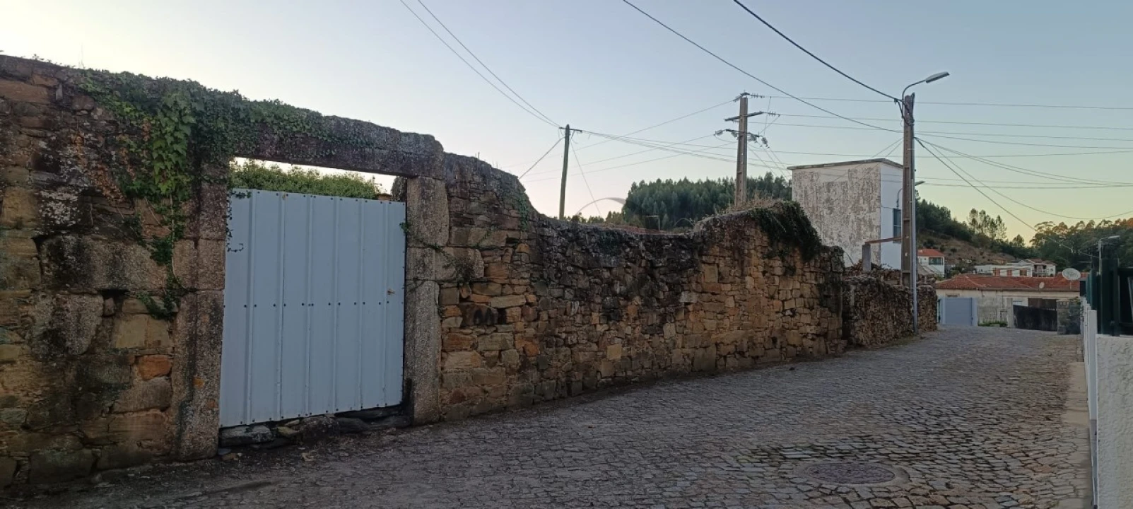 Quinta T5 para Venda em Campo e Sobrado Foto 4