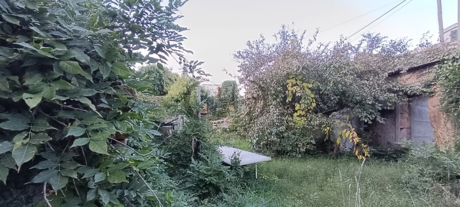 Quinta T5 para Venda em Campo e Sobrado Foto 5