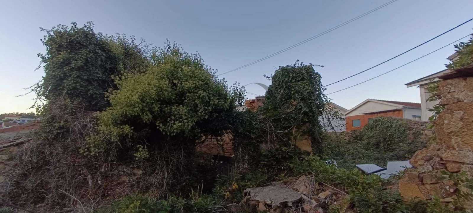 Quinta T5 para Venda em Campo e Sobrado Foto 9