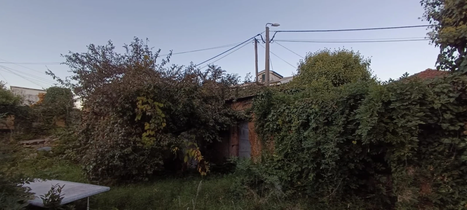 Quinta T5 para Venda em Campo e Sobrado Foto 10