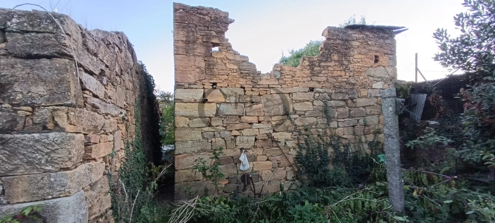 Quinta T5 para Venda em Campo e Sobrado Foto 19