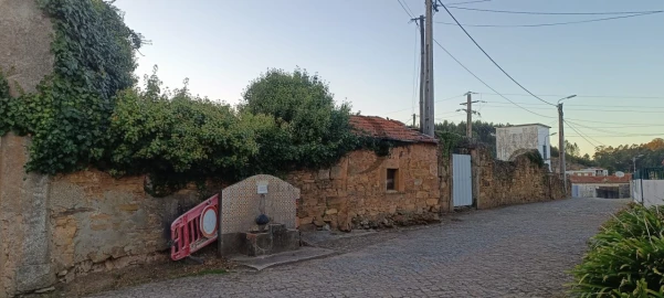 Quinta T5 para Venda em Campo e Sobrado