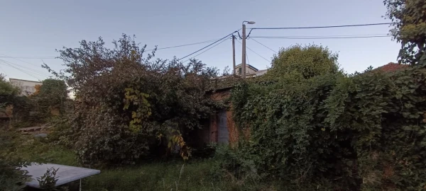 Quinta T5 para Venda em Campo e Sobrado