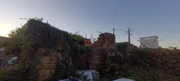 Quinta T5 para Venda em Campo e Sobrado