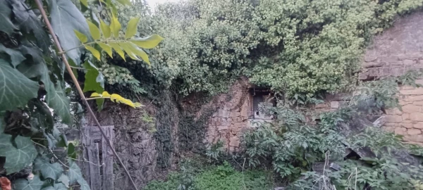 Quinta T5 para Venda em Campo e Sobrado
